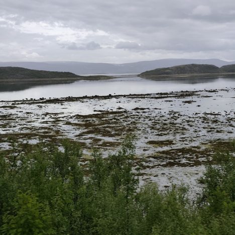 Tag 8 Auf zum Nordkap